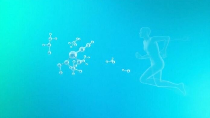 como-os-aminoacidos-influenciam-sua-saude-e-seu-desempenho-esportivo como-os-aminoacidos-influenciam-sua-saude-e-seu-desempenho-esportivo