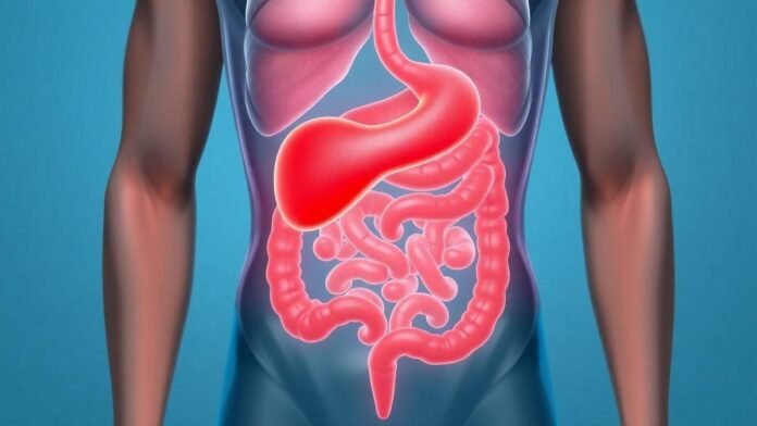 entenda-sua-dor-na-barriga-e-o-que-ela-pode-indicar entenda-sua-dor-na-barriga-e-o-que-ela-pode-indicar