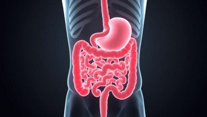 sangramento-gastrointestinal-entenda-as-causas-os-sintomas-e-quando-voce-deve-procurar-ajuda sangramento-gastrointestinal-entenda-as-causas-os-sintomas-e-quando-voce-deve-procurar-ajuda