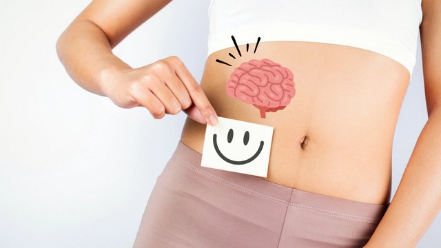 34f6ae0512c2a28f437240029668