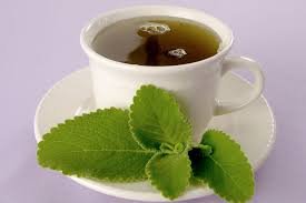 download (10) Chá de boldo natural servido em xícara com folhas frescas ao lado.