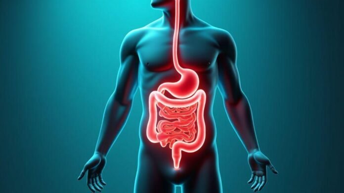 glutamina-pode-proteger-seu-intestino-reduzir-inflamacoes-e-ajudar-na-recuperacao-muscular glutamina-pode-proteger-seu-intestino-reduzir-inflamacoes-e-ajudar-na-recuperacao-muscular