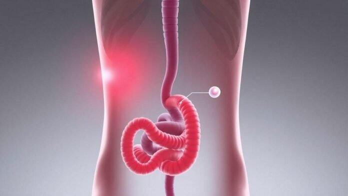 sua-dor-no-lado-esquerdo-da-barriga-pode-ser-gases-pedra-no-rim-ou-sinal-de-emergencia sua-dor-no-lado-esquerdo-da-barriga-pode-ser-gases-pedra-no-rim-ou-sinal-de-emergencia