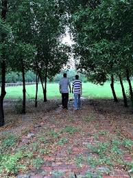 download (42) pessoa caminhando para melhorar a saúde e reverter prediabetes