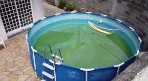 download (6) Recipiente com água parada em área urbana, possível criadouro do mosquito da dengue.