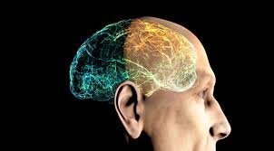 images (4) Silhueta de cabeça humana com ilustração de cérebro envelhecendo