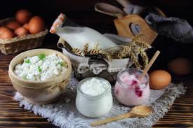 download (17) Alimentos probióticos como iogurte e kefir