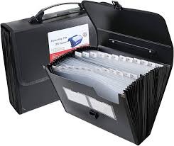 download (28) pasta de saúde da família organizada com exames e laudos