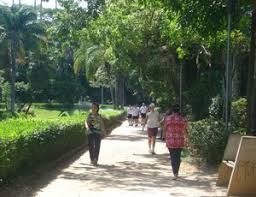 download (39) pessoa caminhando no verão com foco em saúde