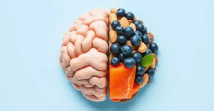images (4) Alimentos ricos em colina para a saúde do cérebro