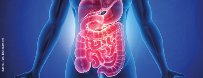 darm_istock-1250203796 Pessoa com expressão de desconforto abdominal após uso de antibiótico