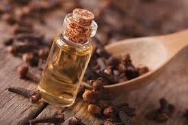 download (52) Cravo-da-índia: o que a ciência diz sobre uso diário