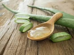 download (55) Não Beba Babosa! Entenda os Perigos do Consumo Interno e Seus Riscos para o Intestino