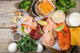 download (1) alimentos com proteína animal e vegetal lado a lado