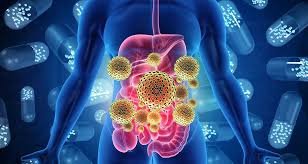 images (4) ilustração do microbioma intestinal com bactérias benéficas