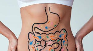 images (5) ilustração científica da microbiota intestinal com bactérias no intestino