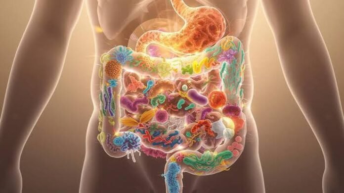images (7) microbiota intestinal